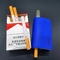 Draagbare Hitte niet Brandwond Elektrische Vape Pen Dry Herb Vaporizer